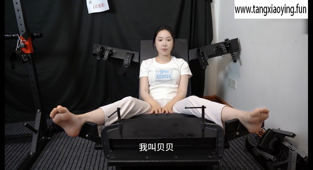 tk508贝贝